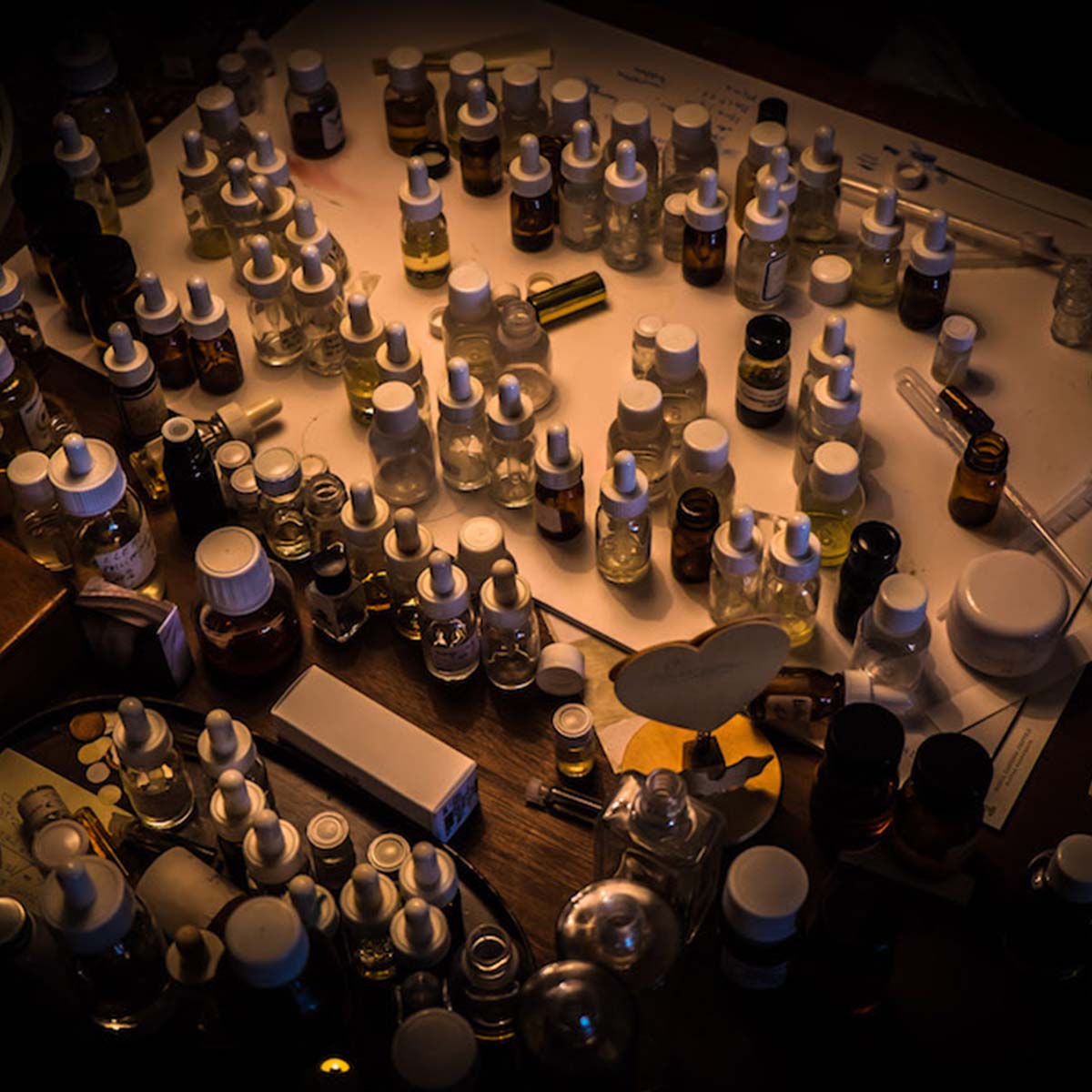 Maria Candida Gentile laboratory