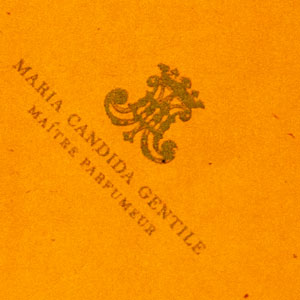 Carta regalo arancio con logo dorato