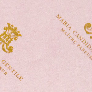 Carta regalo rosa con logo dorato